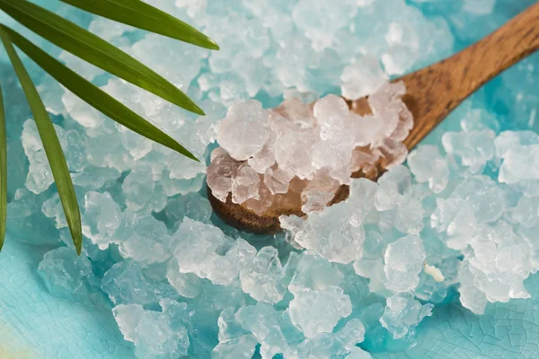 Comment activer les grains de kéfir d’eau : guide complet - fermentons.fr