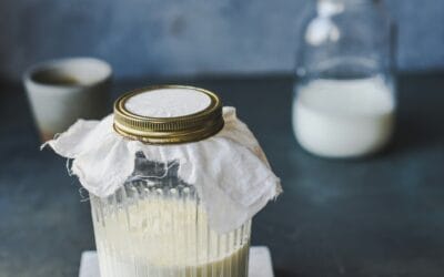 Kéfir de Lait : Probiotiques, Recettes et Astuces Santé